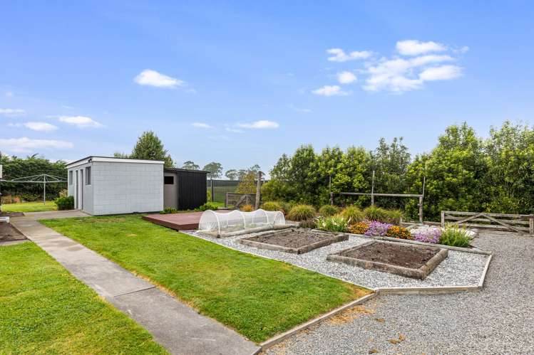 555 Collins Road Springston_16