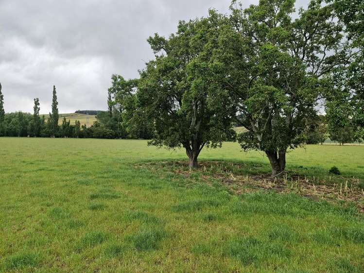 287 Oven Hill Road (Part of) Teviot_9