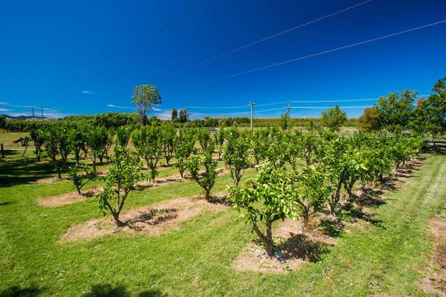 35 Pilmer Road Makauri_4