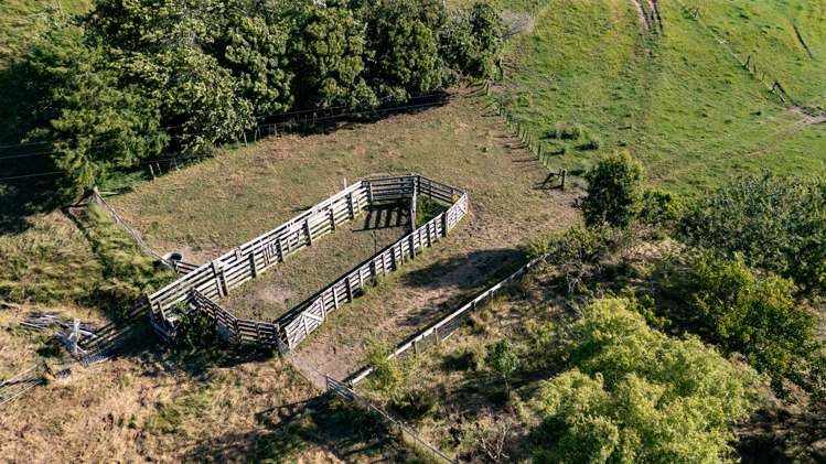 1595 Waingaro Road Glen Massey_24