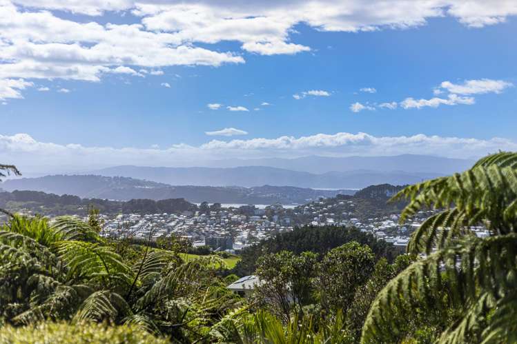 10 Havelock Street Mornington_11