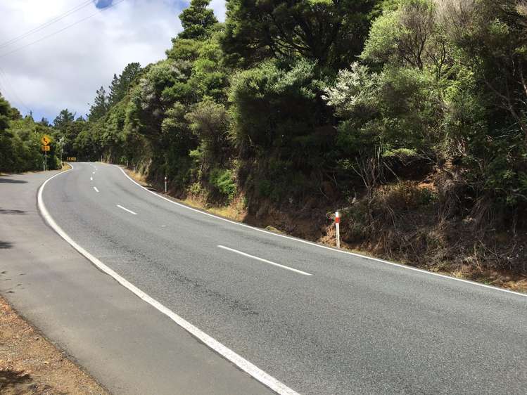 233 Piha Road Piha_6