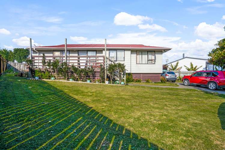 176 Finlayson Avenue Clendon Park_1