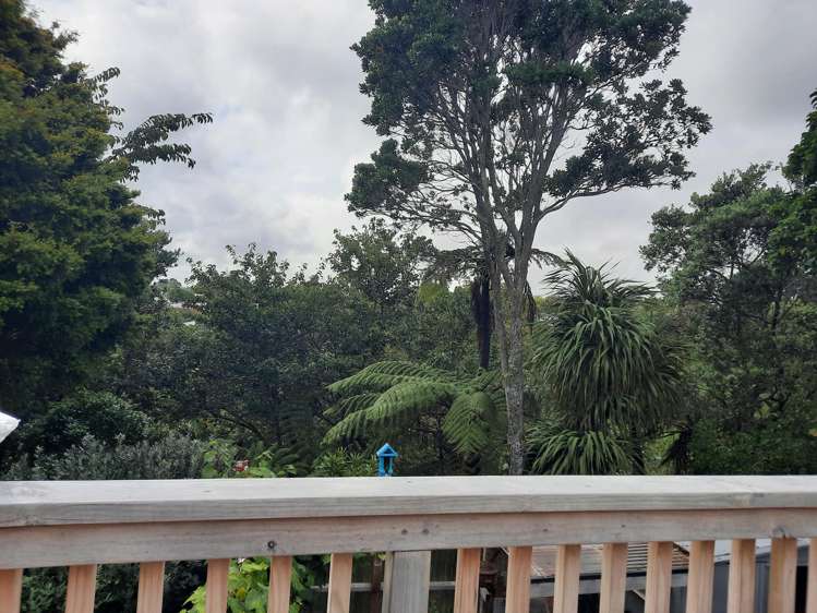 17D Manu Crescent Upper Vogeltown_12