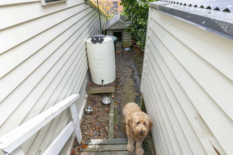 71 Amapur Drive Ngaio_24