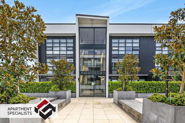 8 Kingsland Terrace Kingsland_2