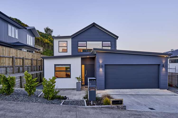 20 Domett Street Newlands_0