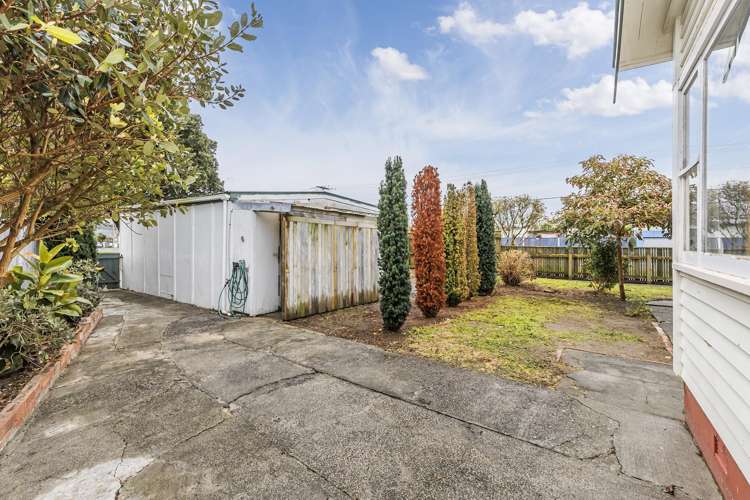 56 Devonshire Road Miramar_17