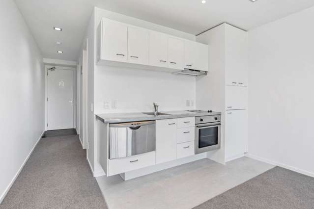 1g/17 Blake Street Ponsonby_4