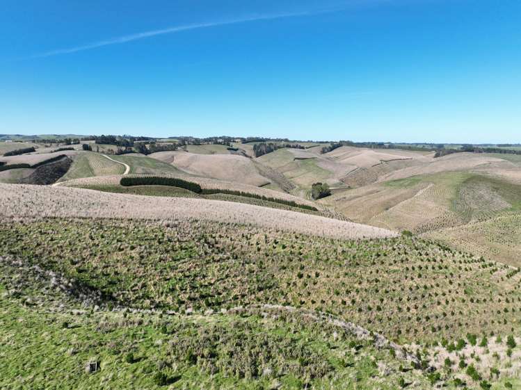 174 McCulloch Road Awamangu_12