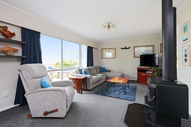 32 Plunket Street Tamatea_6