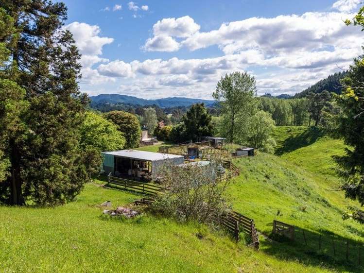 114 Dods Road Waikite Valley_17