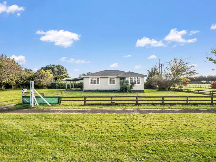 55 Wilson Street Waverley_21