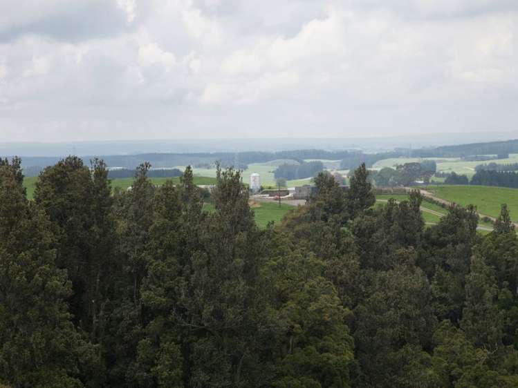 438 Waotu South Road Putaruru_43