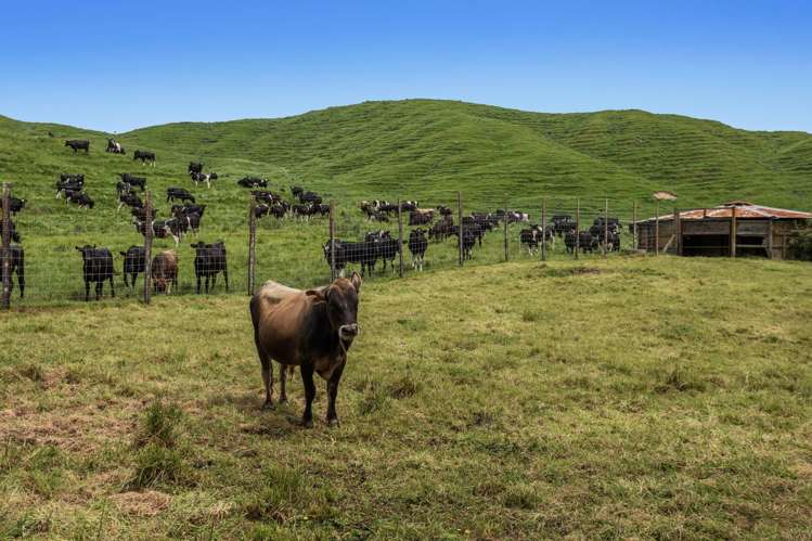 103 Rendall Road Rotoma_1