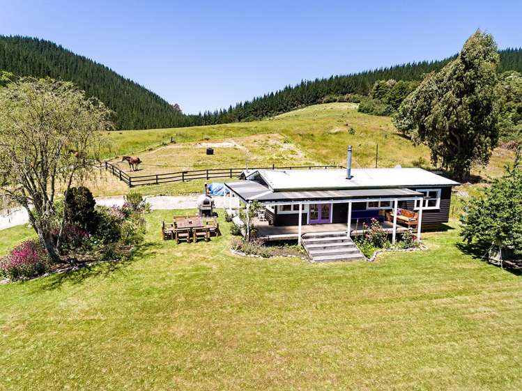 342 Hinetai Road Tapawera_9