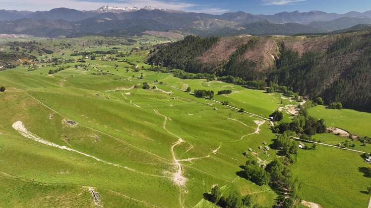 200 Upper Stanley Brook Stanley Brook_22