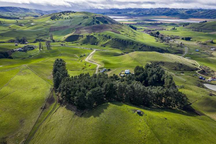 97 Waikareao Road Central Hawkes Bay Coastal_28