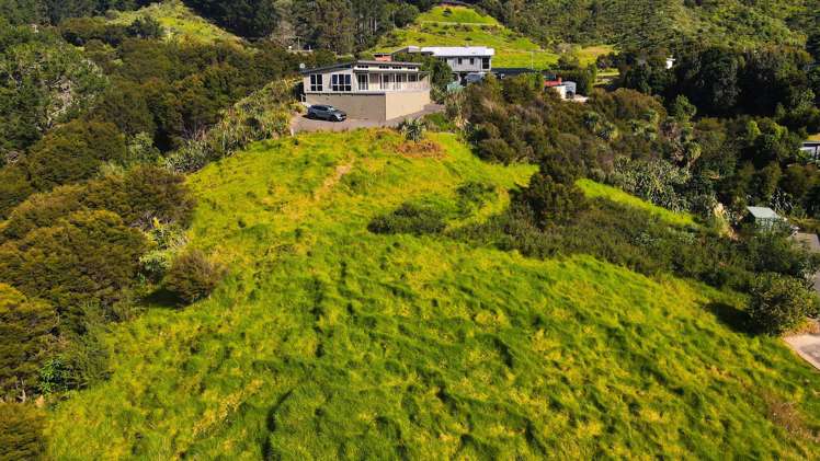 8 Te Mata Drive Te Mata_6