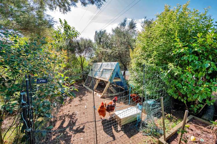 150 Kennedy Road Dairy Flat_16