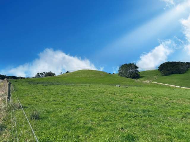 Lot 2 Porter Road Paparoa_1