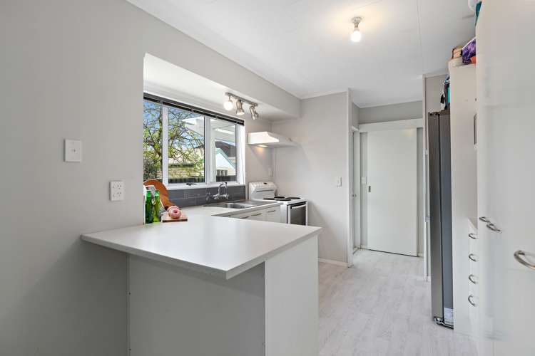 9 Snell Street Morrinsville_6