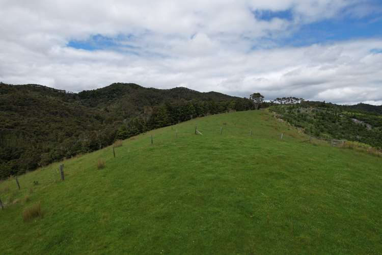 91 Sharyn Nelson Drive Haruru_5