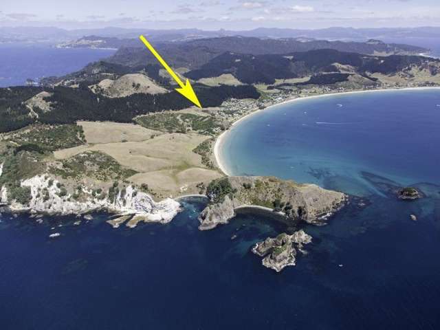 22 Ohinau Drive Opito Bay_4