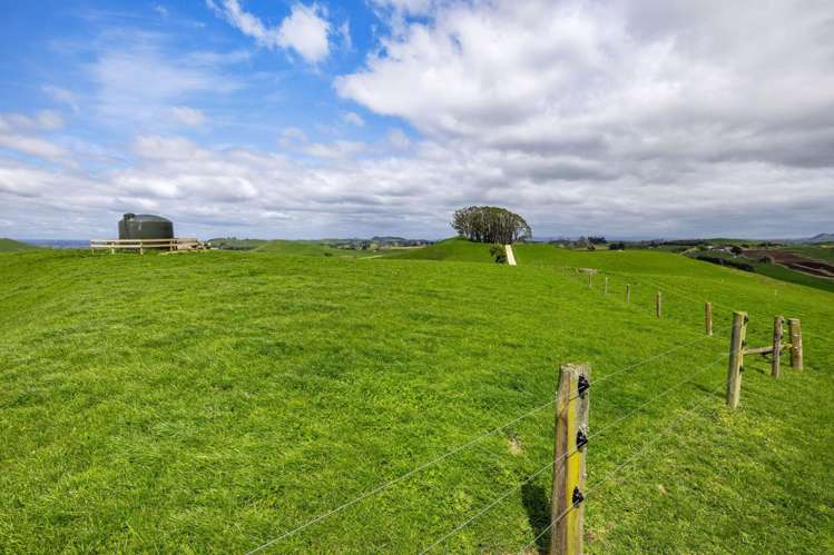 310 Paparamu Road Piarere_24