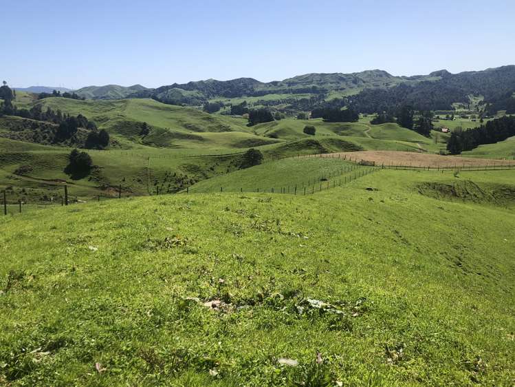 1026 Limeworks Loop Road Karamu_29