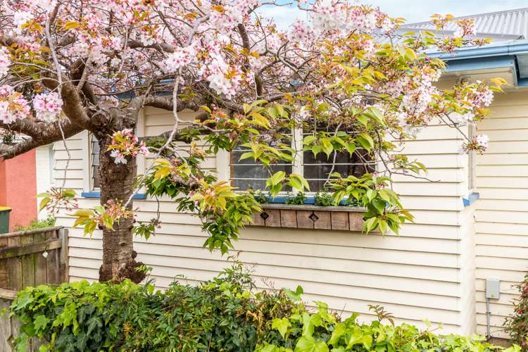 9 Frederick Street Paraparaumu Beach_19