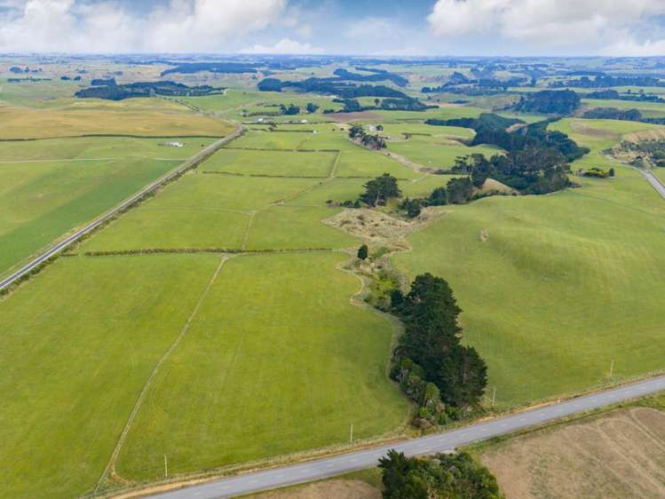 116 Karahaki Road Waverley_20