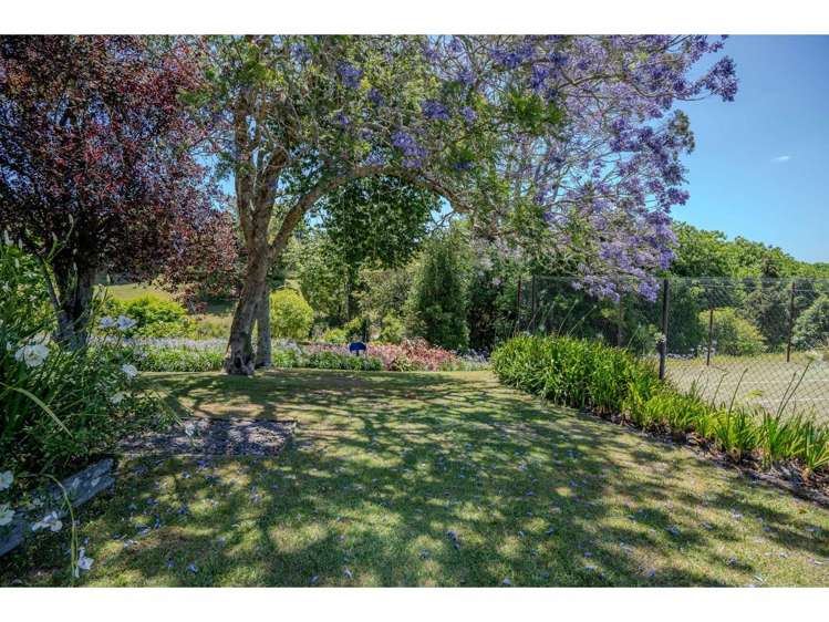 34B Blue Gum Lane Kerikeri_16