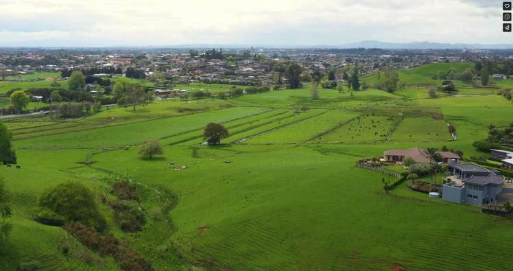 44 Wallace Road Temple View_5