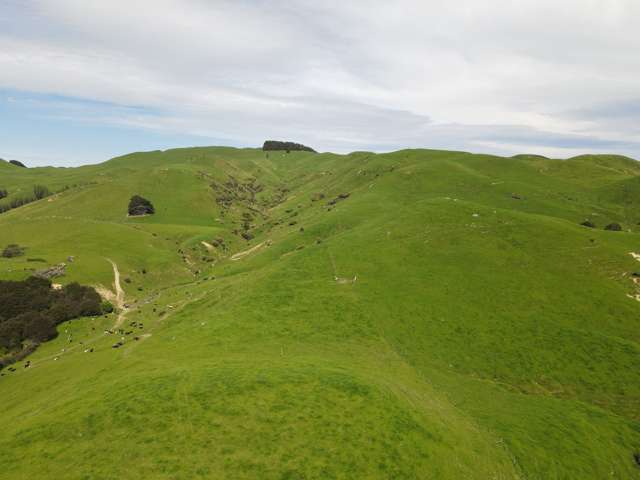 Ranui - Solid grazing block