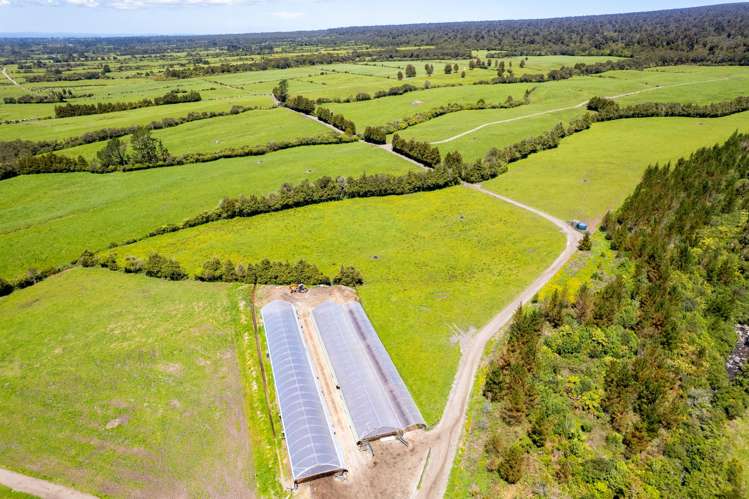 869 Dudley Road Upper Kaimiro_9