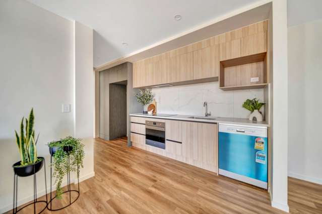 393 Ormiston Road Flat Bush_3