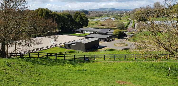 57 Pukerimu Lane Cambridge_12