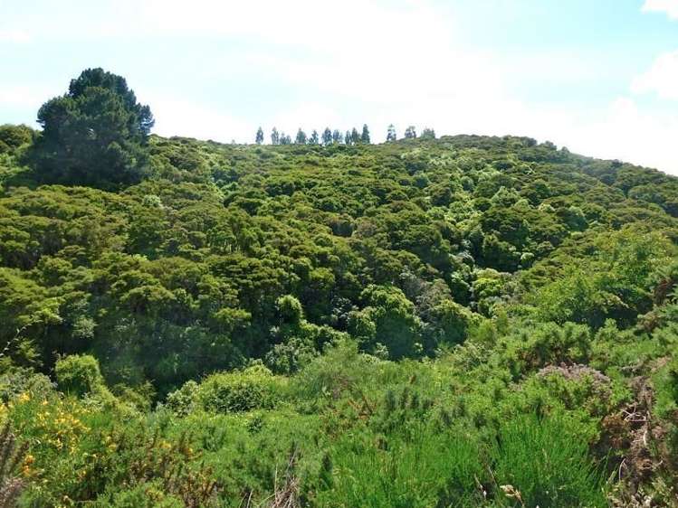 58 Chain Hills Road Chain Hills_4