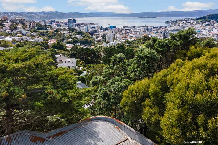 94 Mortimer Terrace Brooklyn_15