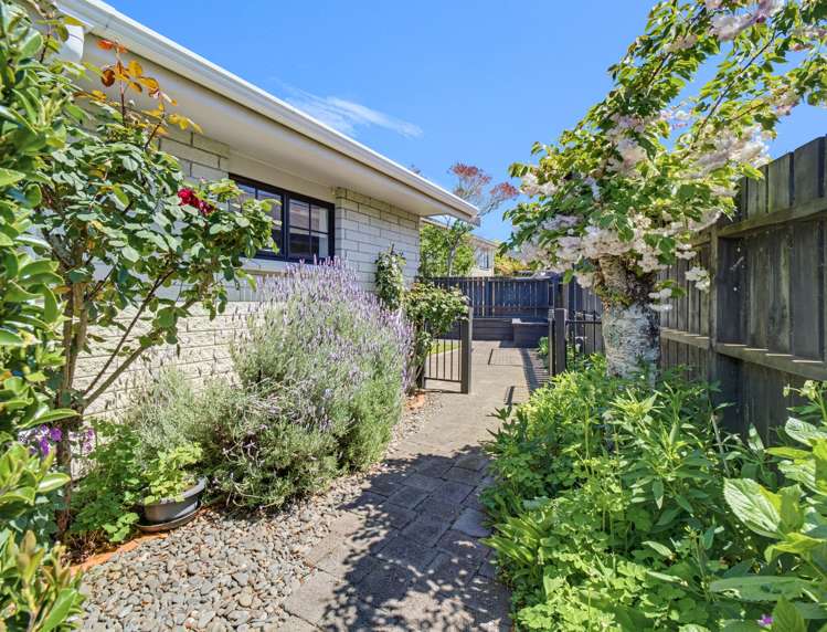 25b Operiana Street Ngongotaha_28