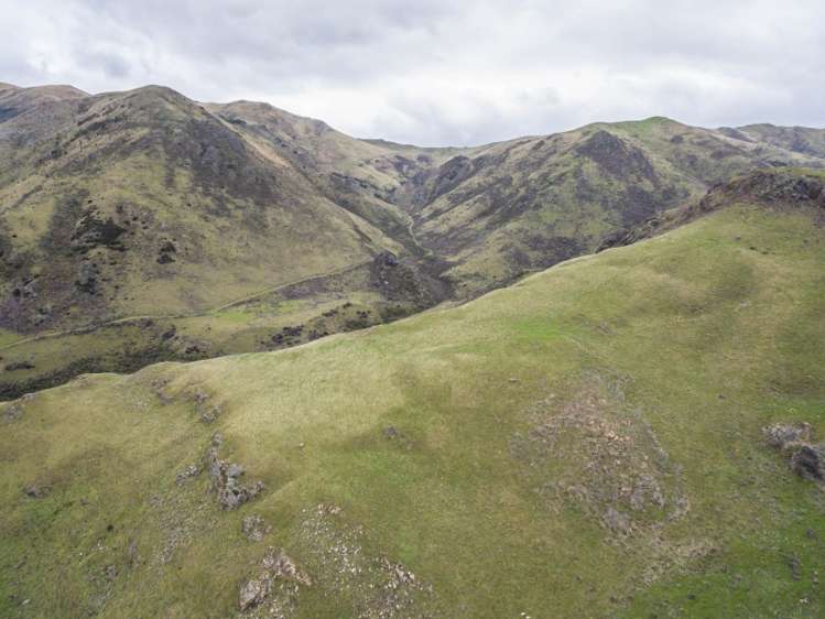 2081 Virginia Road Virginia_10