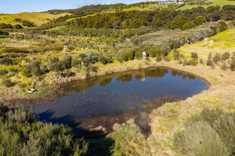 173 Prescott Road Ruakaka_13