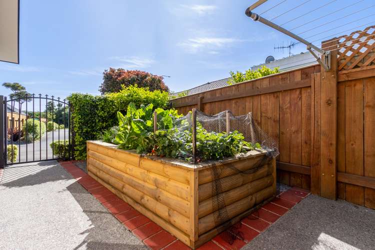 66 The Drive Paraparaumu Beach_10