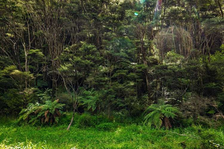 Pokapu Road Matawaia_12