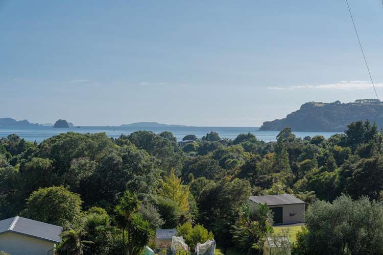 23 Ara Mata Cooks Beach_9