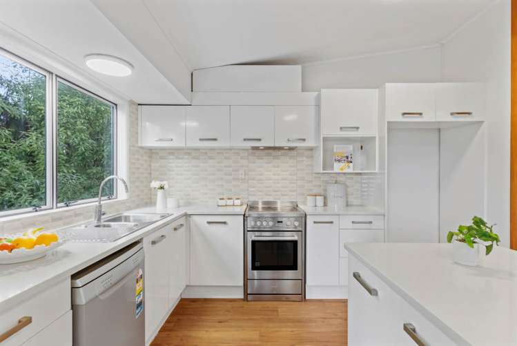 66 Goodall Street Hillsborough_6