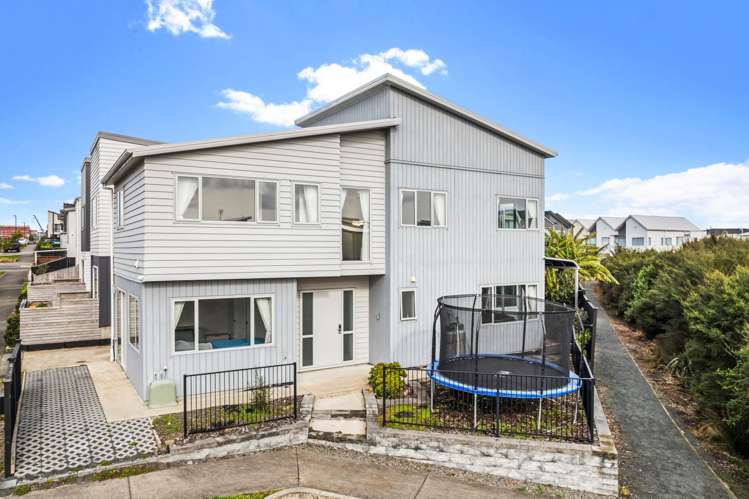 1 Gecko Road Hobsonville_20