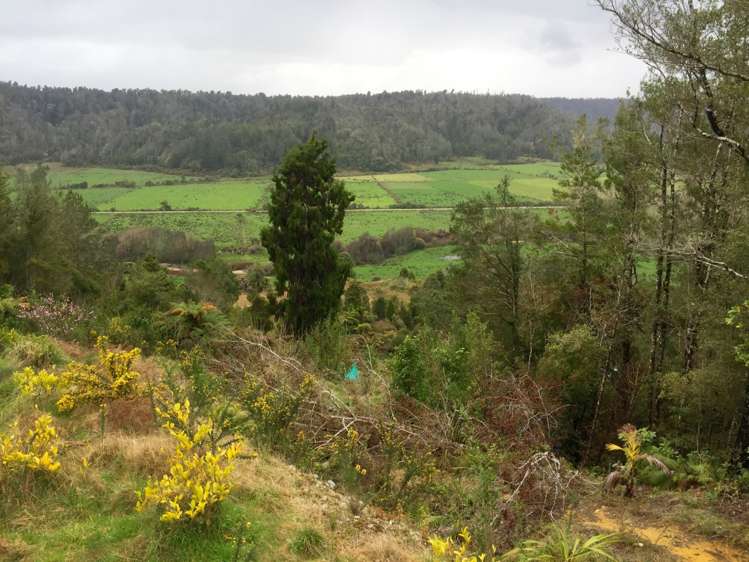 134b Granite Creek Road Karamea_8