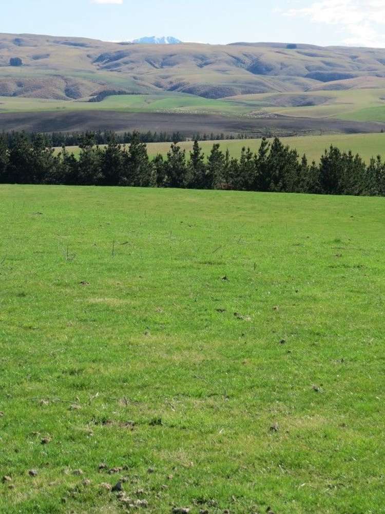 649 Kauru Hill Road Five Forks and Surrounds_12